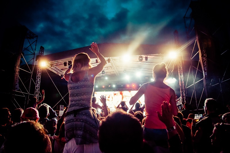 flowers  / flamboyant flowers